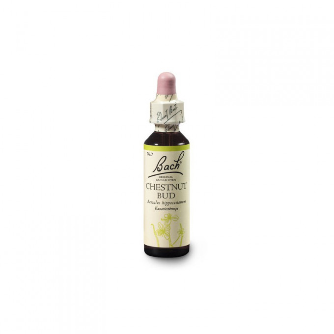 Bach Pagaštan konský, púčik (Chestnut Bud) 20 ml - expirace 12/2024